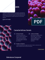 Introducao-aos-Poriferos (2)