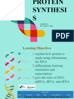 Protein Synthesis 2023