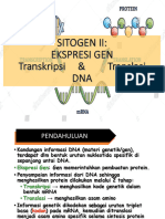 PPT3 SITOGENETIKA 2 Transkripsi Dan Translasi DNA