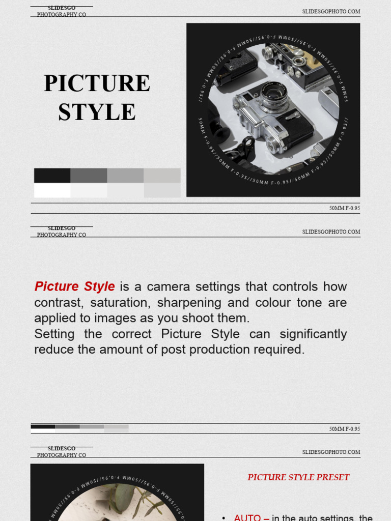 Camera Types Thesis | PDF