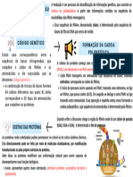 Mapa Mental Traducao Corrigido 3