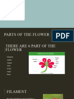 Parts of The Flower