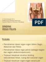 Anatomi DindingRegioPelvis Kebidanan