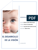 Desarrollo de La Visión