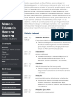 Marco Herrera CV 2024