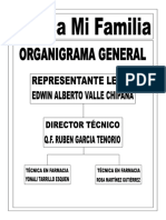 ORGANIGRAMA BOTICA