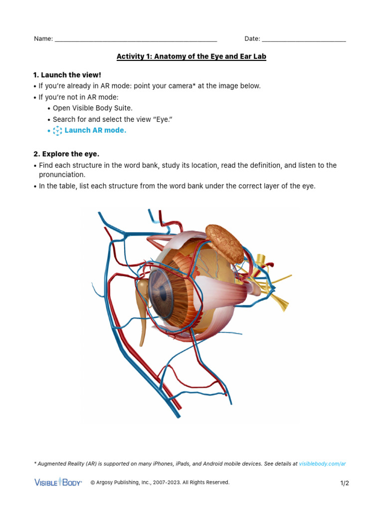 Lab Manual - Eye and Ear - English - Student - Fill in | PDF | Ear ...