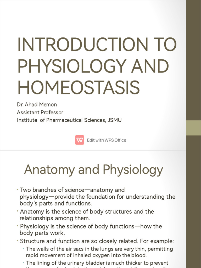 Introduction To Physiology And Homeostasis Pdf Human Body Tissue