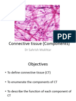 A (T) Connective Tissue Component