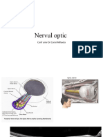 Prezentare Nervul Optic 1