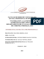 Informe Final Practicas I - Brenda