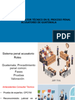 Rol Del Consultor Proceso Penal de Guatemala