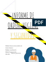 INFORME DE ORDEN, HIGIENE    Y SEGURIDAD