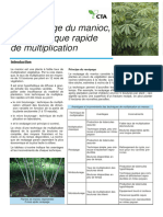 Ftec Manioc Recepage