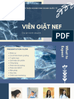 Dự án NEF (Bản pp)