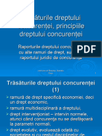 C - 2 - Trăsăturile DR - Concurentei, Principiile DR Concurentei