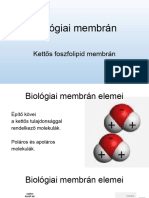 21-43 Membranmukodes