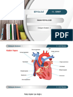 Biyoloji: 11. SINIF