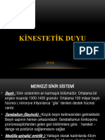 11-KİNESTETİK DUYu