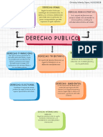 Derecho Publico