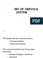 10.Anatomy of Nervous System (1)