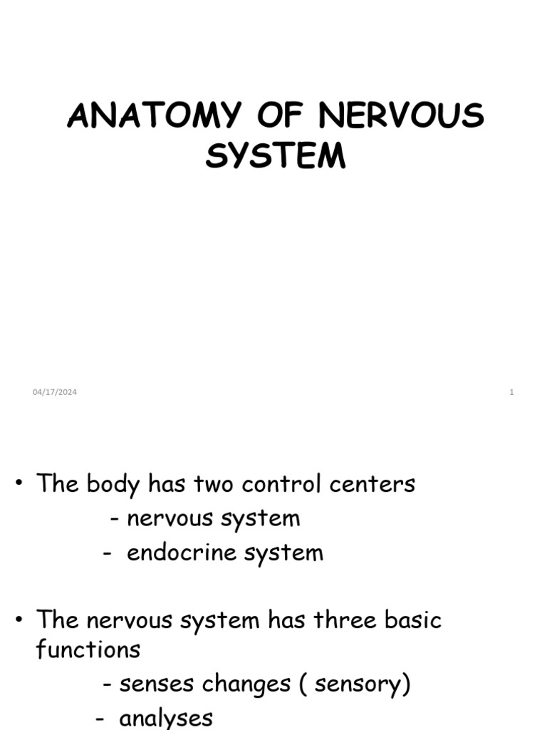 ANATOMY AND PHYSIOLOGY OF NERVOUS SYSTEM PDF FREE DOWNLOAD visual data 3