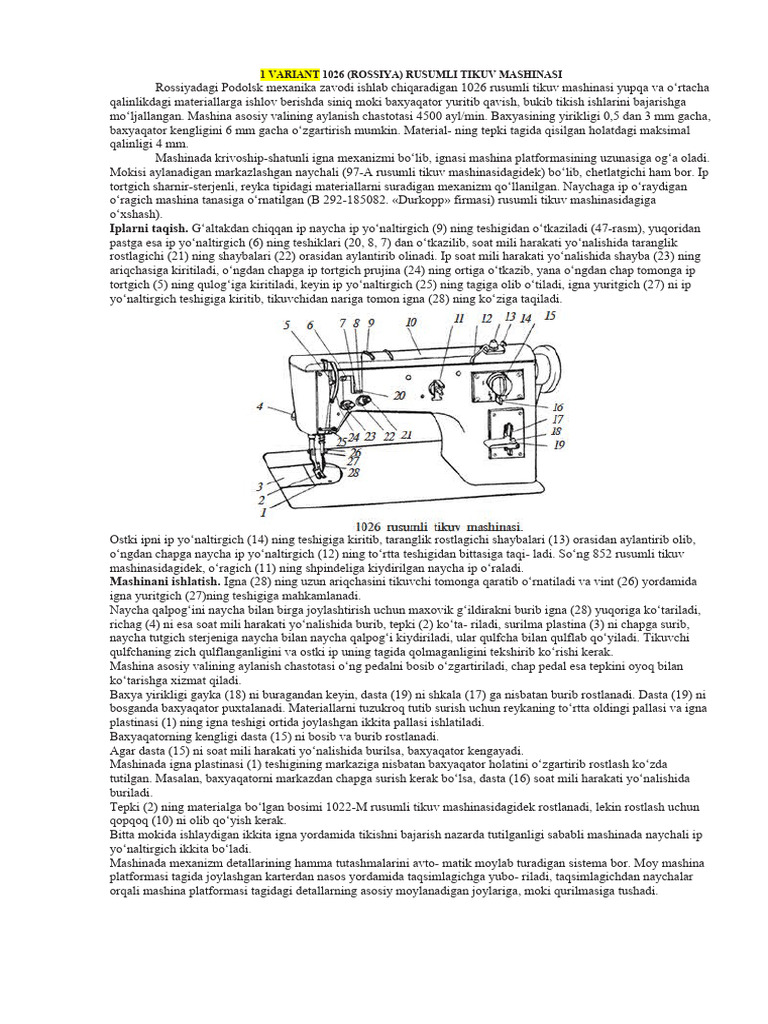 Gozal kokrak va eshak porno