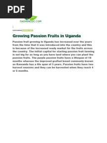 Growing Passion Fruits in Uganda 1