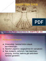 Kinezyolojiye Giriş