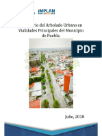 Vialidades Puebla Rev 4.11 Reduced File Size