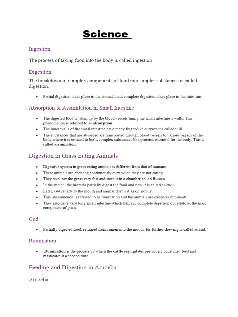 Science: Ingestion | PDF | Home & Garden | Wellness