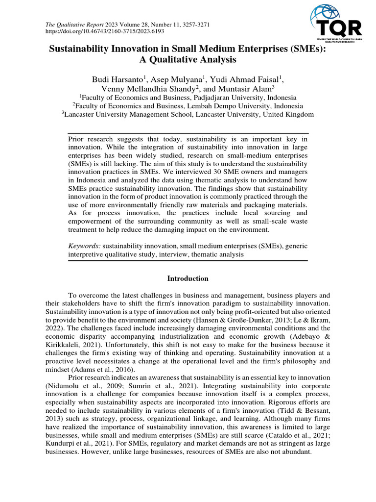 1-Sustainability Innovation in Small Medium Enterprises (SMEs) | PDF ...