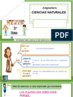 Power Point Partes de Una Planta 3º