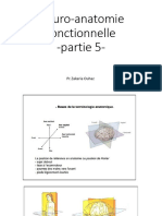 Neuro-Anatomie Fonctionnelle - Partie 5-: Pr. Zakaria Ouhaz