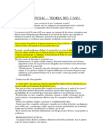 Procesal Penal - Teoria Del Caso