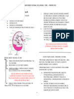 Resumo - Sistema Renal