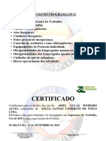 Certif. Seg. no Trab. Uso de EPI RENOVAR ARIEL