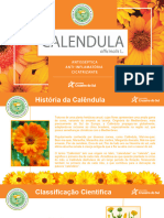 Calendula Officinalis L. (Farmacognosia) (Final)