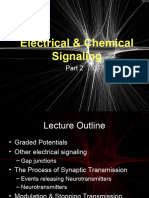 NS 2 Electrical Signaling