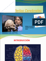 Hemisferios Cerebrales Presentacion Powerpoint