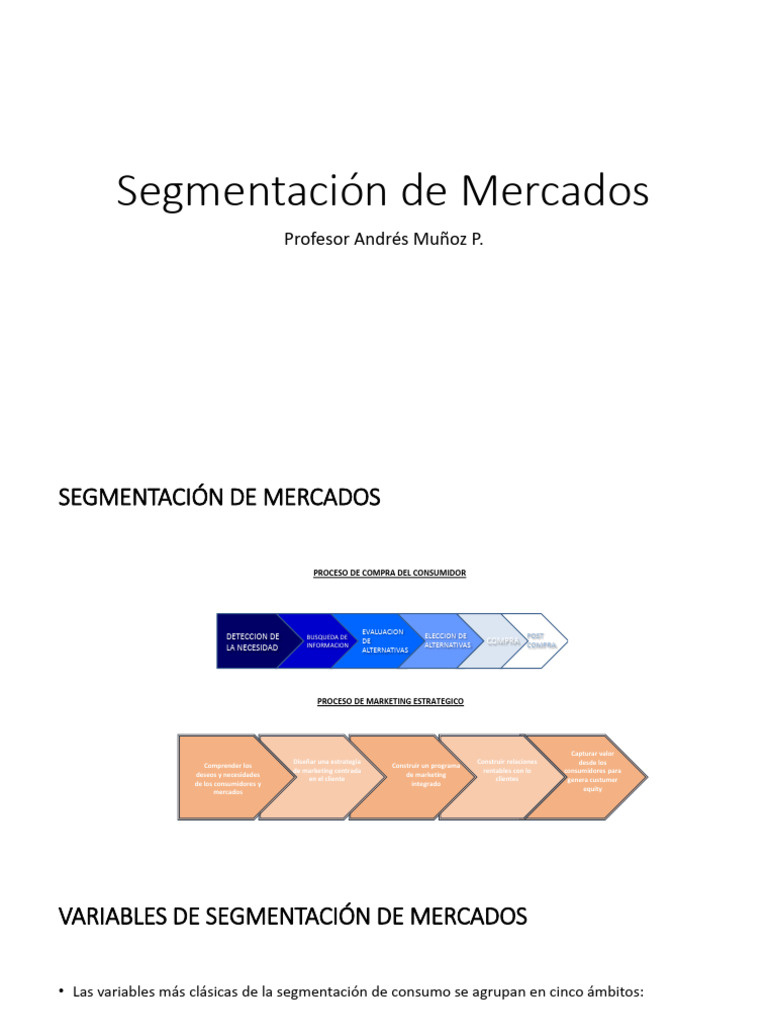 Segmentación de Mercados | PDF | Mercado (economía) | Cliente