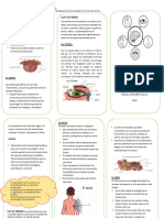 Procesos Cognitivos