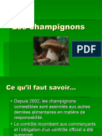 Les Champignons