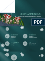 Les Champignons 11