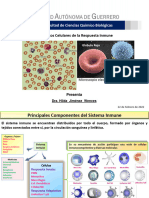 Elementos Morfológicos Del Sistema Inmunne-2021