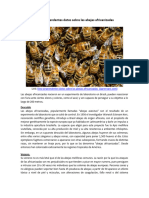 Diez Sorprendentes Datos Sobre Las Abejas Africanizadas