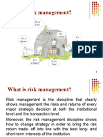 What+is+Risk+Management