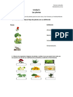 Guia Sobre Las Plantas 3°