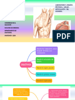 2TP Macroanatomía 2024