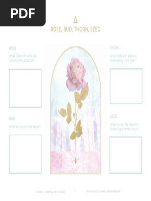 Rose+Bud+Thorn+Seed+V1